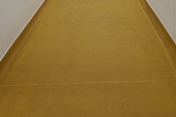 hf corridor with coves
