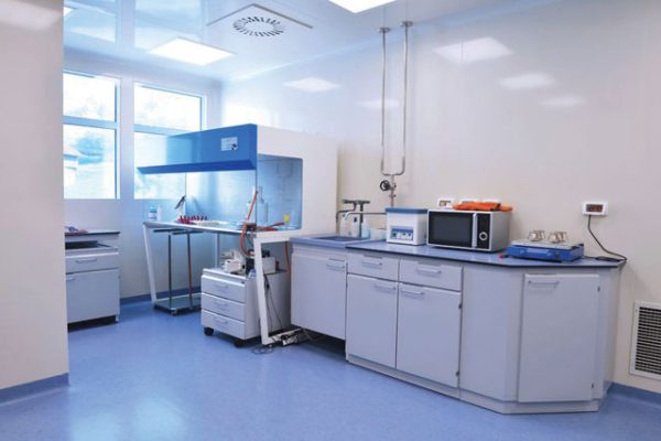 hygienic walls